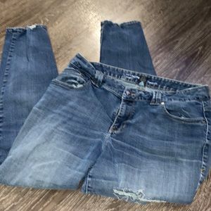 Lane Bryant Skinny Genius Fit Distressed Jeans